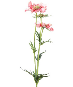 Everplant Kunstbloem Scabiosa Roze 74 cm