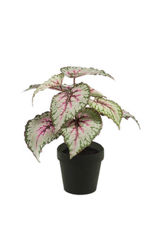 Emerald Kunstplant in pot Begonia grijs/roze 25cm
